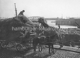 Verladung von Heu im Oberhafen / Kanal am Stadtdeich; Oberländerkähne mit Heu / Stroh beladen - Pferd und Wagen / Pferdefuhrwerk - im Hintergrund die Eisenbahnbrücke über den Oberhafenkanal.