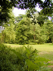 Peemöllers Garten in Hamburg Groß Borstel, 2003.