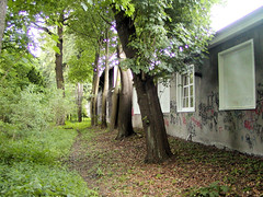 Peemöllers Garten in Hamburg Groß Borstel, 2003.
