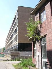 Fotos vom Gelände des Barmbeker Krankenhaus in Hamburg Barmbek Nord; leerstehende Nebengebäude 2004 - junge Birken wachsen aus dem Mauerwerk - im Hintergrund Neubauten.