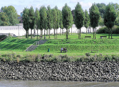 Blick über die Norderelbe auf die Grünanlage Elbpark / Entenwerder Park in Hamburg Rothenburgsort.