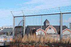 Zollzaun am Ericusgraben in der Hafencity Hamburg - hinter dem Maschendrahtzaun die Deichtorhallen am Oberhafen.