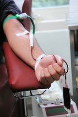 Blutspende im Blutspendedienst in Hamburg Eilbek; mit pumpenden Handbewegungen kann der Blutfluss beschleunigt werden.