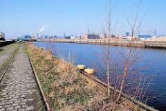 Bahnschienen am Petersenkai - junge Birken wachsen auf dem Hafenkai - Blick über den Baakenhafen zum Versmannkai - Fotos aus dem Hamburger Hafen.