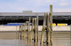 Alte Holzdalben im Moldauhafen im Hamburger Hafen - im Hintergrund Lastwagen am Überseezentrum. Das Hafenbecken Moldauhafen wurde  1887 gebaut - ein 30.000 Quadratmeter großes Gelände wurde aufgrund des nach dem Ersten Weltkrieg 1919 unterzeichneten