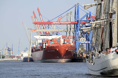 Fotos vom Hamburger Hafengeburtstag - Hochbetrieb auf dem Wasser und an Land; Segelschiff auf der Elbe - im Hintergrund ein Containerschiff am Terminal Burchardkai.