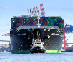 - - bildarchiv-hamburg.com - -  Das Containerschiff HATSU COURAGE läuft in den Hamburger Hafen ein; das Frachtschiff hat eine Länge von 334 m und kann 8073 Container TEU transportieren.