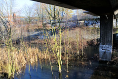Fotos aus dem Hamburger Stadtteil Altona-Nord, Bezirk Altona; Pfeiler der Fußgänger*Innenbrücke an der S-Bahn Haltestelle Diebsteich.  (12/2009)