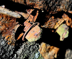 Verwittertes Holz, rostiger Kopf einer Eisenschraube - Steganlage im Hafen;  historische Hafenrelikte - Zeugnis der Vergangenheit.