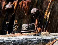 Rostige Eisenschraube - Holzsteg im Hafen; historische Hafenrelikte - Zeugnis der Vergangenheit.