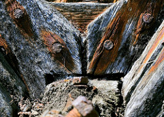 Verwittertes Holz, rostige Nägel / Schraube - Steganlage im Hafen;  historische Hafenrelikte - Zeugnis der Vergangenheit.