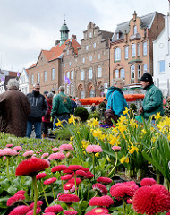 Blumenmarkt auf dem Marktplatz von Husum - Häuserzeile mit historischer Fassade.