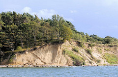 Abbruchbedrohte Steilküste bewachsen mit Bäumen - Greifswalder Bodden, Insel Rügen.