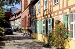 Historische Wohnhäuser; Rosensträucher vor einer Fachwerkfassade - grüne Fensterluken; Johanniskloster Stralsund.