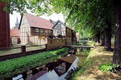 Burggraben - mittelalterliche Wallanlage in Boitzenburg / Elbe; Lindenbäume