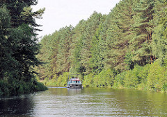Hohe Tannen an den Ufern der Elde-Müritz Wasserstrasse - ein Sportboot fährt am Ufer entlang.
