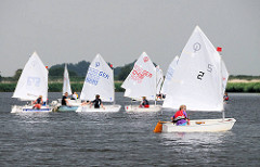 Opti-Regatta auf der Treene bei Friedrichstadt; Segelboote auf dem Wasser in der Sonne.