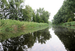 Schilfgürtel und Baumbestand an den Ufern der Wasserstrasse Elde Müritz.