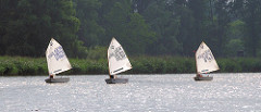 Regatta von Segelbooten / Optimisten auf der Treene -