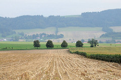 Böhmisch Mährische Höhe - abgeerntetes Maisfeld - hügelige, wellige Landschaft in Tschechien.