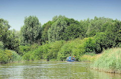 Schilfgürtel und dichter Strauch- und Baumbewuchs am Ufer der Krückau - ein kleines Motorboot fährt Richtung Sperrwerk.