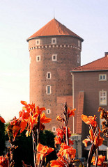 Burgturm - Festungsturm; blühende Blumen -  Wawel in Krakau / Kraków - Polen.