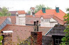 Hausdächer mit unterschiedlichen Schornsteinen mit Ziegeldach - Ufer der Donau in Österreich.