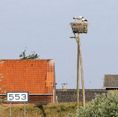 Storchennest auf Baumpfählen - Störche stehen im Nest - Schild Elbkilometer 553