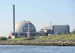 Das Atomkraftwerk am Elbufer bei Stade befindet sich seit 2005 im Rückbau - der Abriss des Kraftwerks soll bis 2015 abgeschlossen sein. Eine Schafherde weidet auf dem Elbdeich - einige der Tiere stehen am Flussufer der Elbe und trinken Wasser.