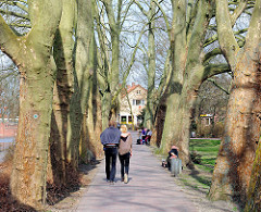 Platanenallee am sonnigen Frühlingstag an der Ilmenau in Uelzen - Spaziergänger geniessen die Sonne.