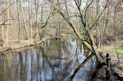 Der Fluss Ilmenau in Uelzen - Frühlingstag mit Sonne; ein Angler steht am Ufer.