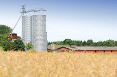 Futtersilo / Getreidesilo in Bünningstedt / Ammersbek - Blick über ein Kornfeld.