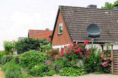 Siedlung Daheim; Ahrensburg - Ammersbek; Metropolregion Hamburg. Einzelhäuser mit Spitzdach, Einfamilienhaus - Rosenstock mit roten Rosen an der Hauswand - Satellitenschüssel.