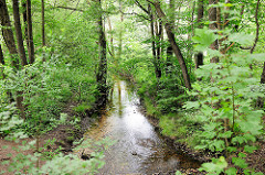 Naturschutzgebiet Neuer Teich in Ahrensburg, Metropolregion Hamburg.