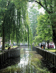Am Fleth in Glückstadt Unterelbe - Spaziergänger am Wasser - Weide mit herabhängenden Zweigen.