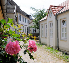 Wohnhäuser am Hafen von Schleswig - Rosenstock mit blühenden roten Rosen - Kopfsteinpflaster.