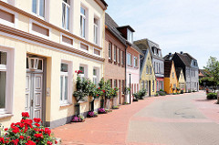 Wohnhäuser mit Rosenstock am Eingang - blühende Rosen; Marktstrasse in Schleswig.