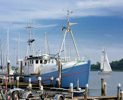 Fischereiboot am Ufer der Schlei in Arnis - Segelboot unter Segeln auf dem Wasser.