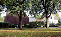 Historische Wohnhäuser - hohe Bäume; Strasse bei den Rauhen Bergen in der Gemeinde Grosshansdorf, Kreis Stormarn.