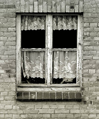 Marodes Holzfenster, die Farbe blättert ab - Spitzengardinen mit Schwanmotiv - Abrisshaus in der Hansestadt Wismar.