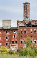 Ruine der ehem. Malzfabrik Wismaria in Wismar, gegründet 1899 - der Gebäudekomplex steht als historische Industriearchitketur unter Denkmalschutz.