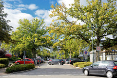 Blick in den Ahrensfelder Weg in Schmalenbeck, Gemeinde Großhansdorf; Strassenbäume, blauer Himmel - weisse Wolken.
