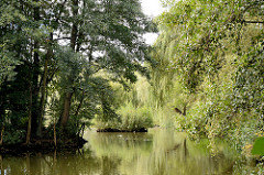 Dicht bewachsenes Seeufer - Mühlenteich in der Gemeinde Grosshansdorf.