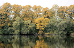 Herbstlich gefärbte Bäume am Mühlenteich in Grosshansdorf; Herbstfarben.
