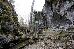 Gesprengter Bunker - mit Moos bewachsene Betonwände; Wolfsschanze  /  Wilczy Szaniec. Bäume und Sträucher wachsen aus den Trümmern der Vergangenheit.