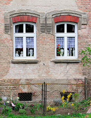 Blühende Blumen im Vorgarten - dekorierte Fenster mit Gardinen; Hausfassade ohne Putz; Ziegelsteine - Wohnhaus in Anklam.