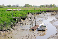Ebbe in einem Seitengraben der Krückau - ein Ruderboot ist trocken gefallen und liegt im Schlick - Kuhherde auf der Wiese; Bilder aus Neuendorf b. Elmshorn.