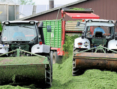Abladen vom geernteten Gras auf der Miete in einem Hof in Kollmar; vom Hecklser wird das frische Gras verteilt - Traktoren / Walzschlepper bereiten die Grasmiete vor.