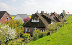 Reetdachhäuser, Bauernhäuser und Neubauten am Deich in der Gemeinde Seestermühe.