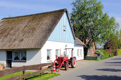 Wohnhaus mit Reet gedeckt - Traktor vor der Tür.